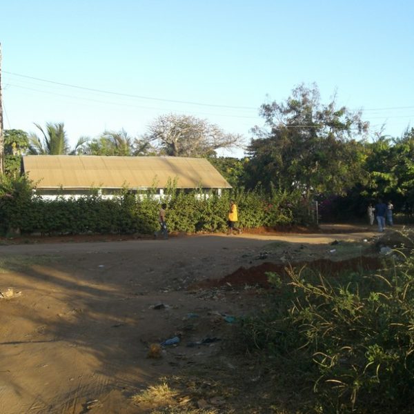 il-lea-mwana-1